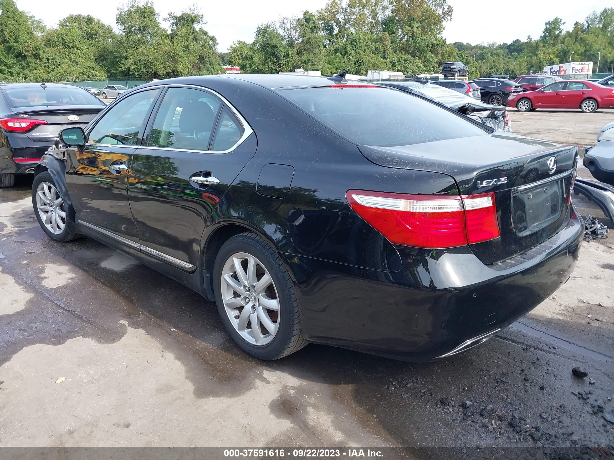 Photo 2 VIN: JTHBL46FX85080245 - LEXUS LS 