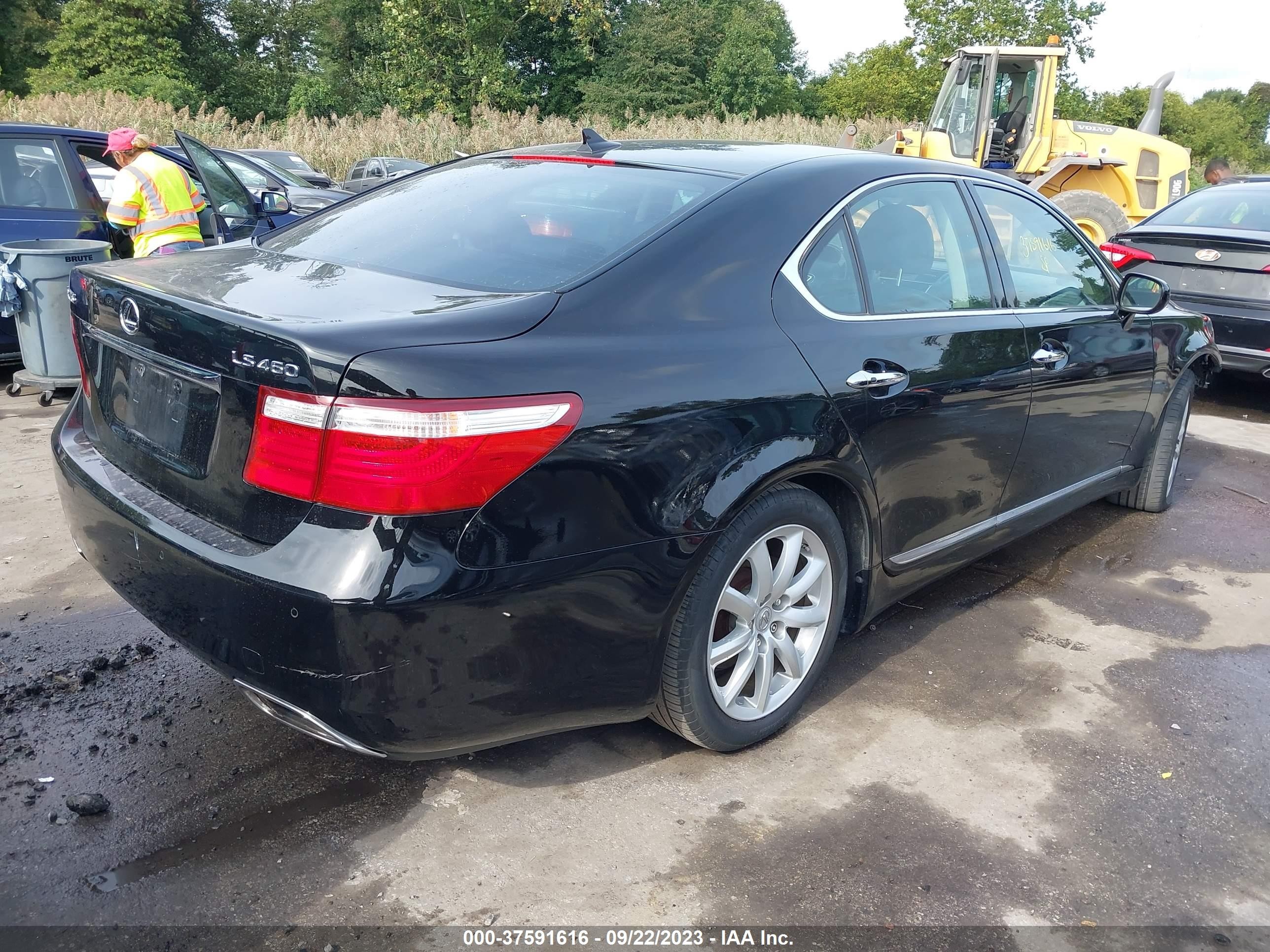 Photo 3 VIN: JTHBL46FX85080245 - LEXUS LS 