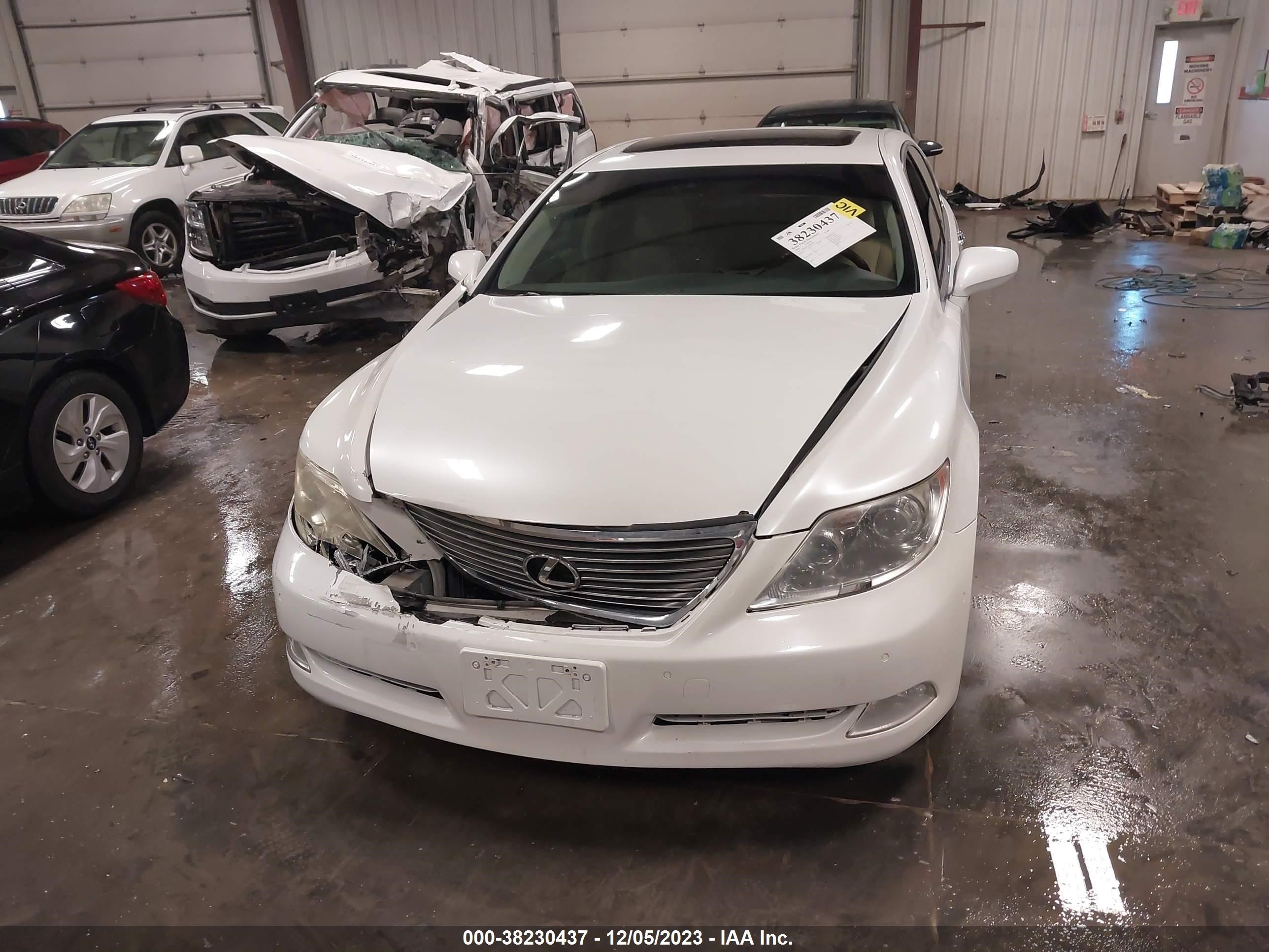 Photo 12 VIN: JTHBL46FX85080746 - LEXUS LS 