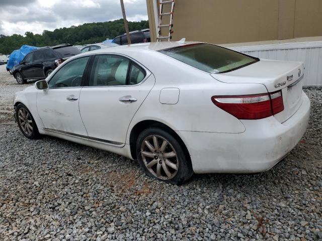 Photo 1 VIN: JTHBL46FX95087181 - LEXUS LS460 