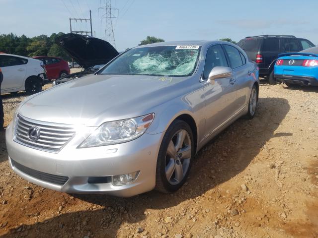 Photo 1 VIN: JTHBL5EF0B5103577 - LEXUS LS 460 