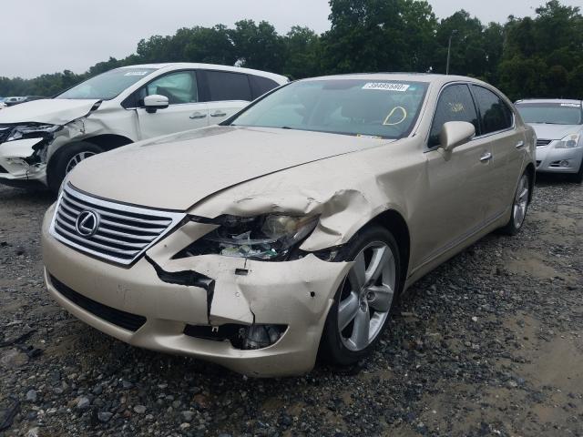 Photo 1 VIN: JTHBL5EF1B5102728 - LEXUS LS 460 