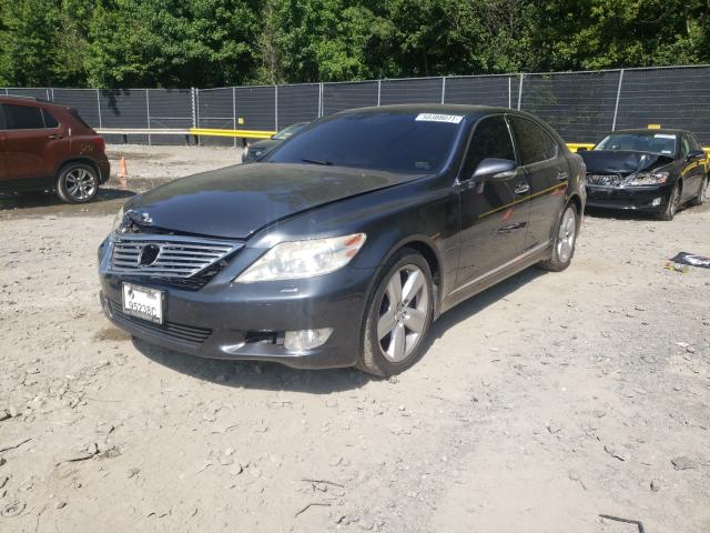 Photo 1 VIN: JTHBL5EF1B5102776 - LEXUS LS 460 