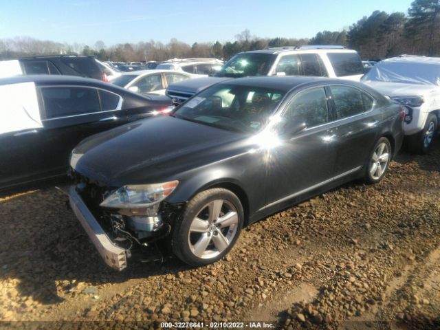 Photo 1 VIN: JTHBL5EF1B5102907 - LEXUS LS460 