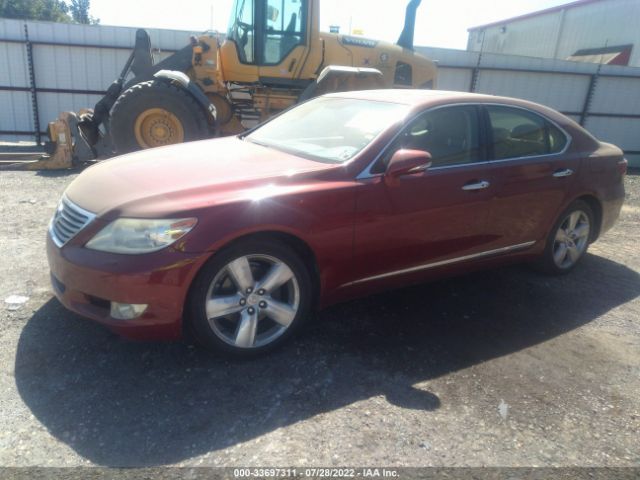 Photo 1 VIN: JTHBL5EF1B5104687 - LEXUS LS 460 