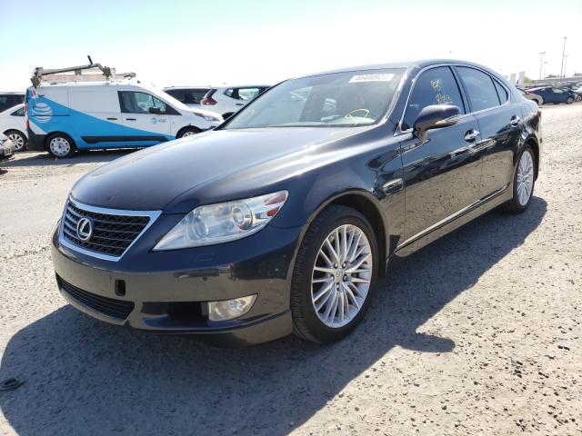 Photo 1 VIN: JTHBL5EF2B5104004 - LEXUS LS 460 