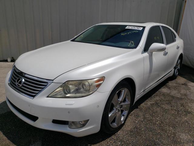 Photo 1 VIN: JTHBL5EF2C5109236 - LEXUS LS 460 