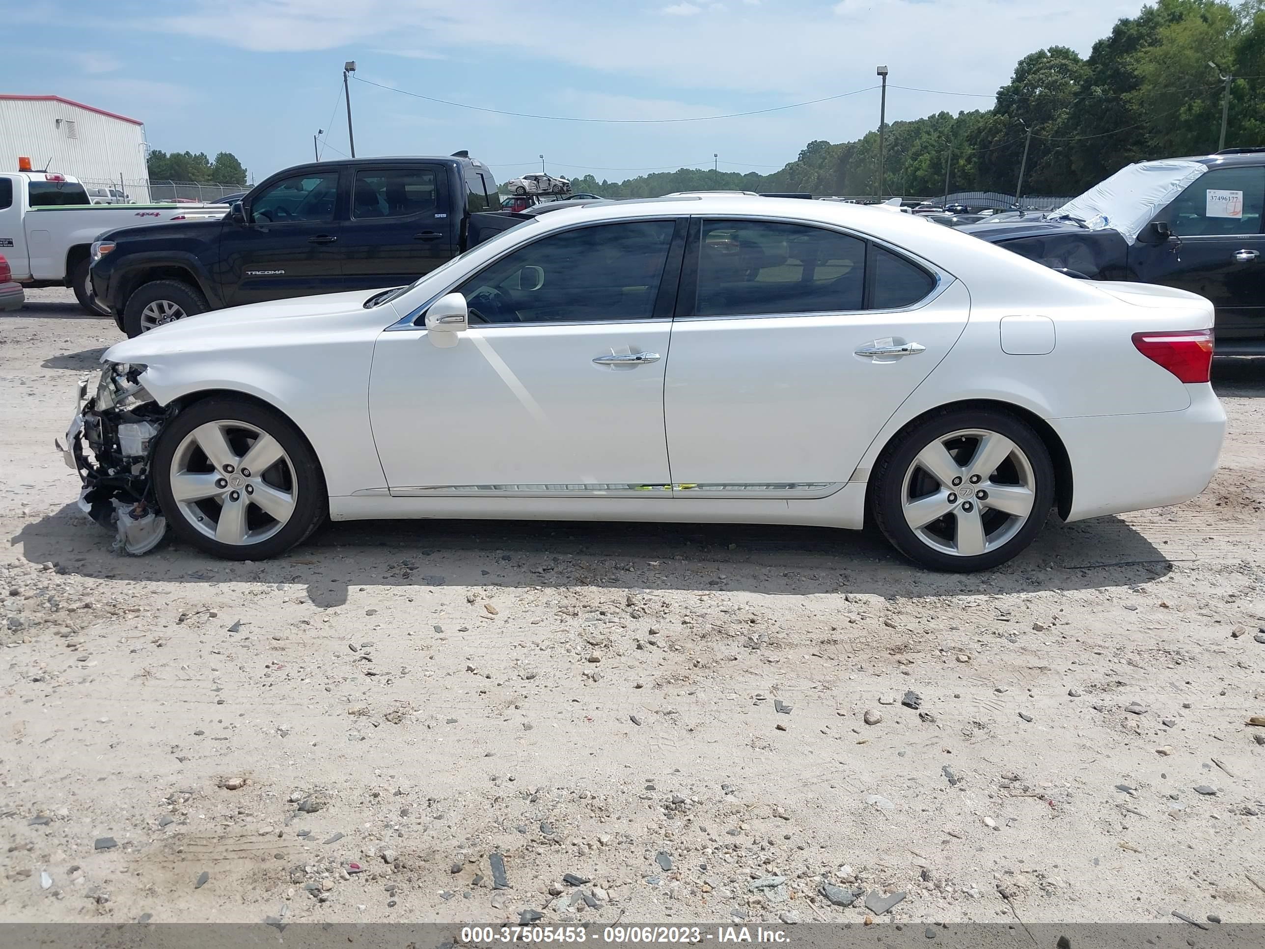 Photo 13 VIN: JTHBL5EF3B5103864 - LEXUS LS 