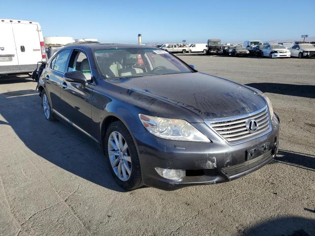 Photo 3 VIN: JTHBL5EF3B5105050 - LEXUS LS460 