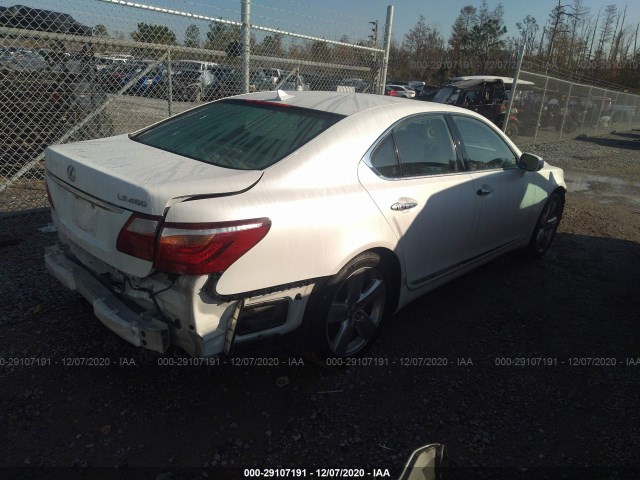 Photo 3 VIN: JTHBL5EF3B5106246 - LEXUS LS 460 