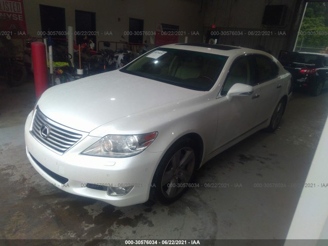 Photo 1 VIN: JTHBL5EF3C5113408 - LEXUS LS 460 