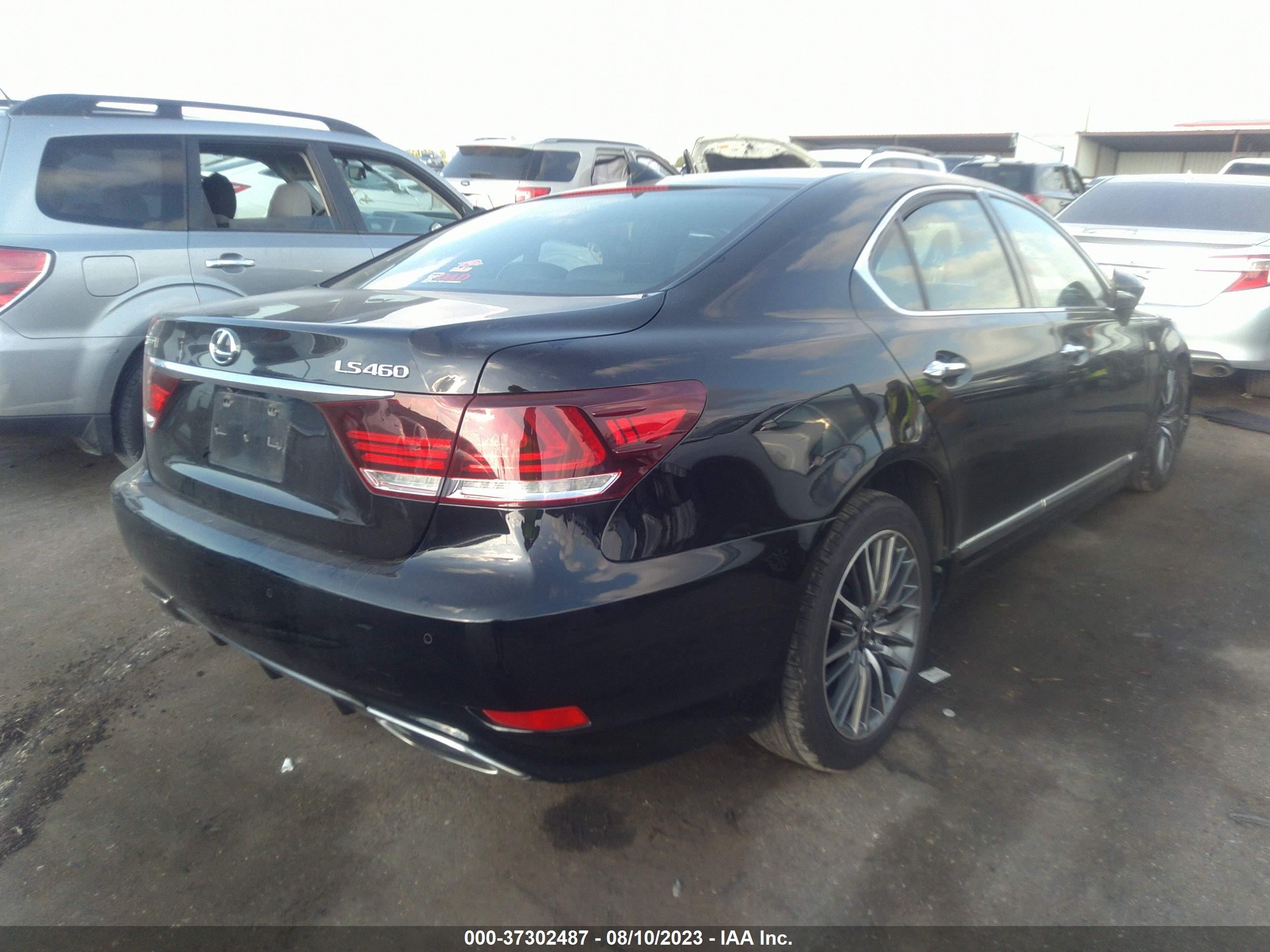 Photo 3 VIN: JTHBL5EF3F5134859 - LEXUS LS 460 