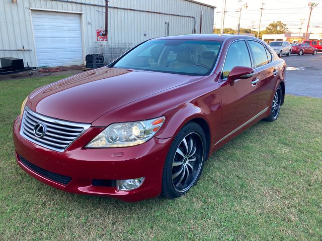 Photo 1 VIN: JTHBL5EF4B5102724 - LEXUS LS 460 