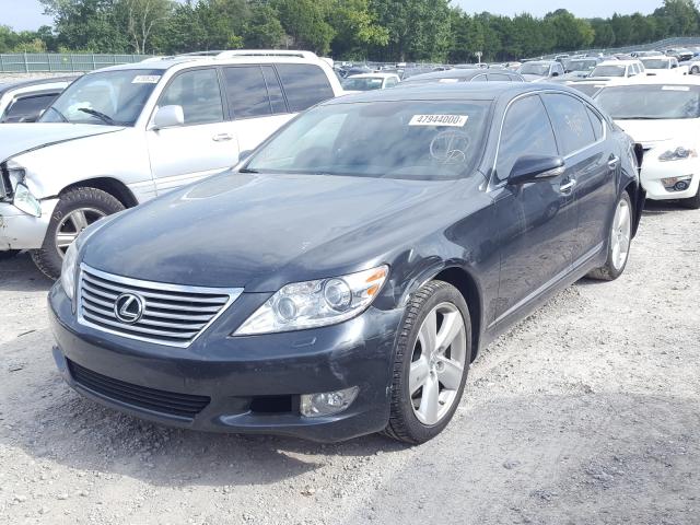 Photo 1 VIN: JTHBL5EF4B5105610 - LEXUS LS 460 