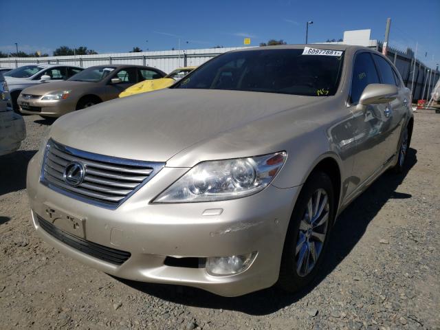 Photo 1 VIN: JTHBL5EF5A5091960 - LEXUS LS 460 