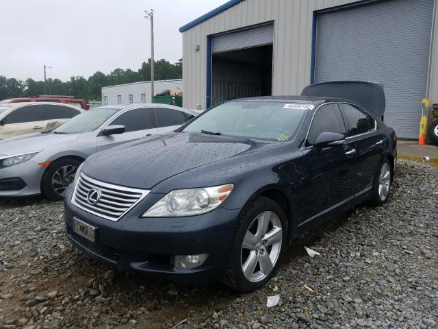 Photo 1 VIN: JTHBL5EF5A5093059 - LEXUS LS 460 