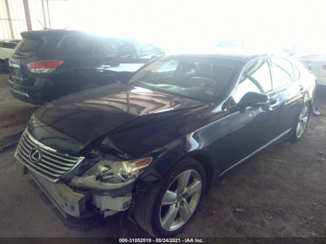 Photo 1 VIN: JTHBL5EF5C5109117 - LEXUS LS 460 