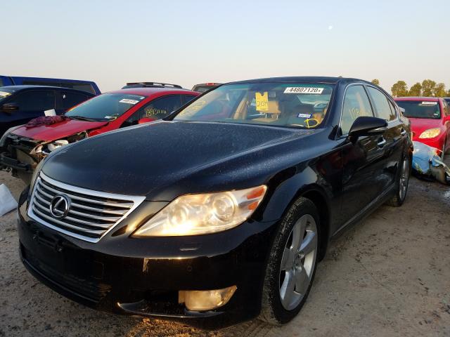 Photo 1 VIN: JTHBL5EF5C5112681 - LEXUS LS 460 