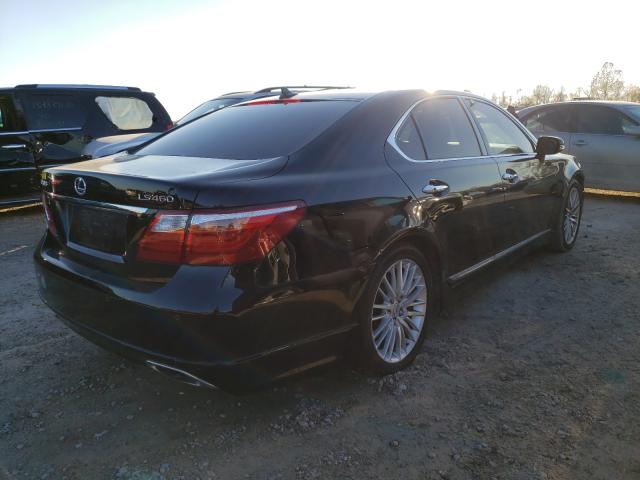 Photo 3 VIN: JTHBL5EF6A5095113 - LEXUS LS 460 