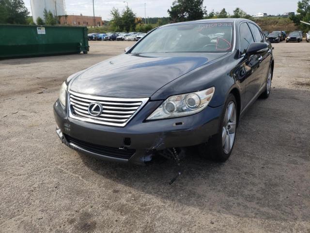 Photo 1 VIN: JTHBL5EF7B5104113 - LEXUS LS 460 