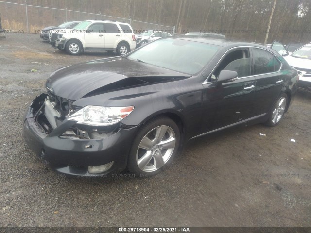 Photo 1 VIN: JTHBL5EF7B5106315 - LEXUS LS 460 