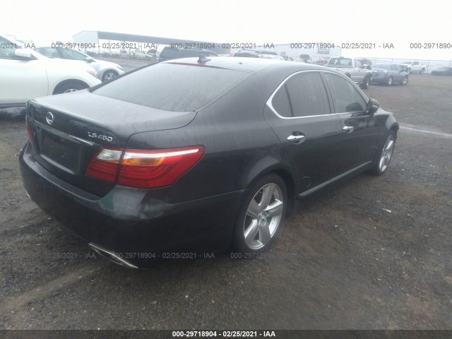 Photo 3 VIN: JTHBL5EF7B5106315 - LEXUS LS 460 