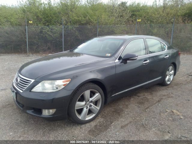 Photo 1 VIN: JTHBL5EF8A5091953 - LEXUS LS 460 