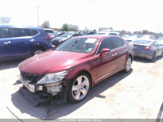 Photo 1 VIN: JTHBL5EF8B5104332 - LEXUS LS 460 