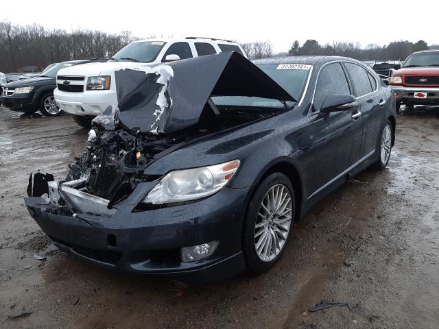 Photo 1 VIN: JTHBL5EF8B5104363 - LEXUS LS 460 