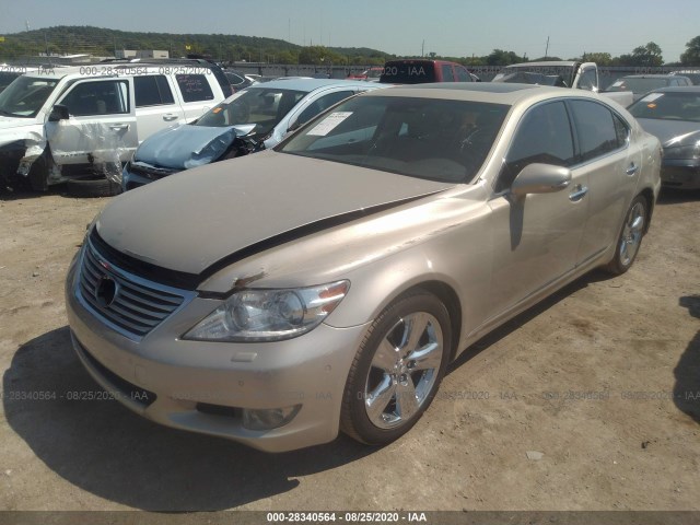 Photo 1 VIN: JTHBL5EF8B5105688 - LEXUS LS 460 