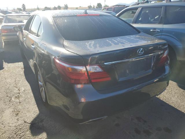 Photo 2 VIN: JTHBL5EF8B5107120 - LEXUS LS 460 