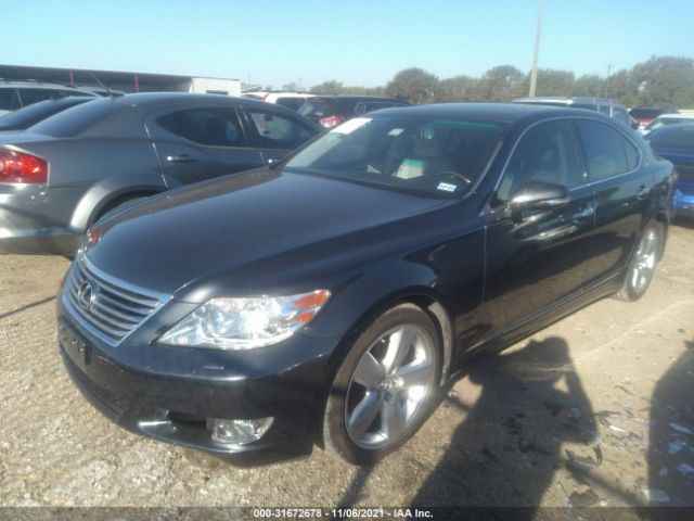 Photo 1 VIN: JTHBL5EF9B5102993 - LEXUS LS 460 