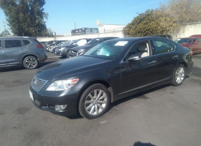 Photo 1 VIN: JTHBL5EF9B5103108 - LEXUS LS 460 