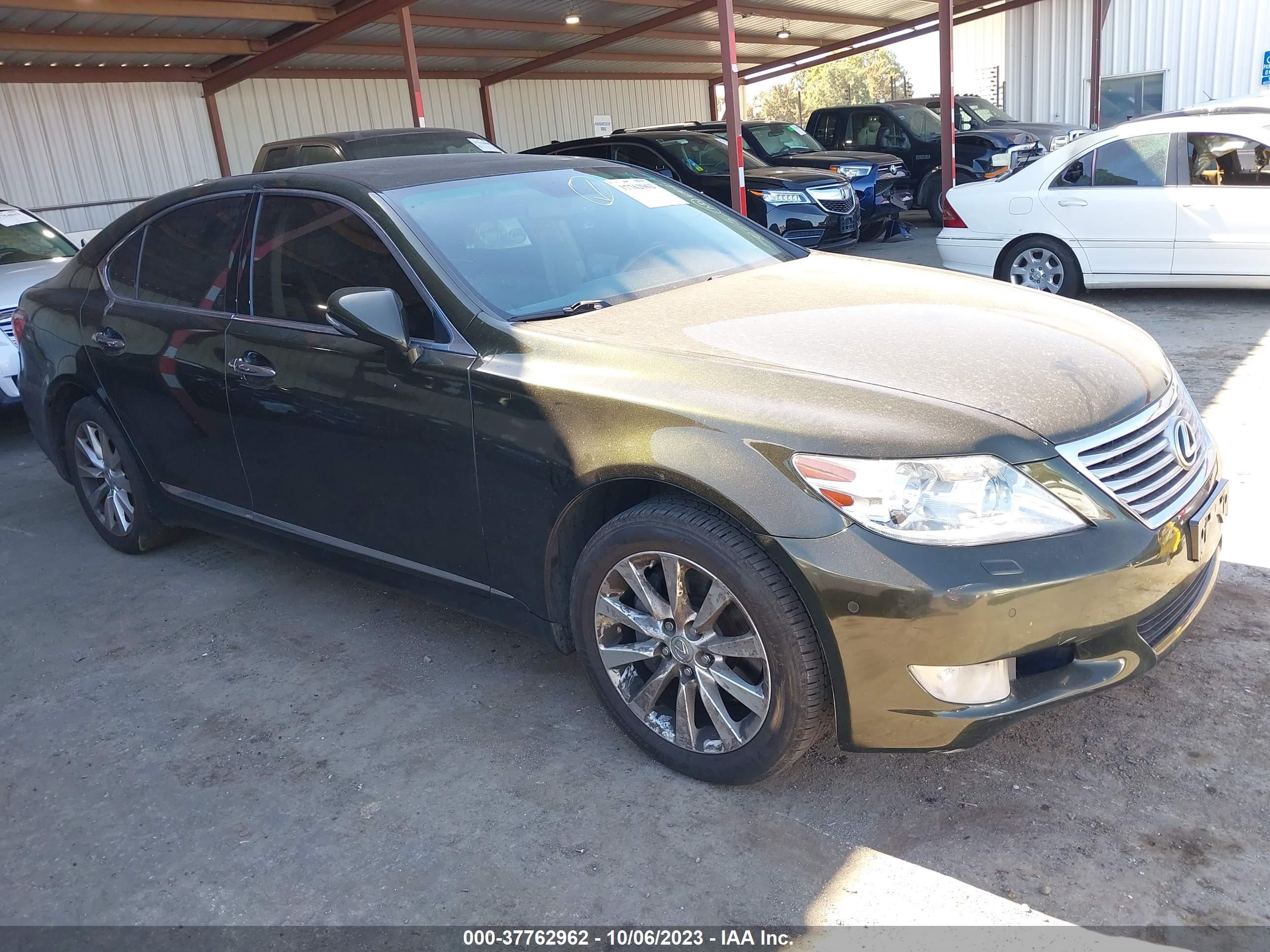 Photo 0 VIN: JTHBL5EF9B5103769 - LEXUS LS 