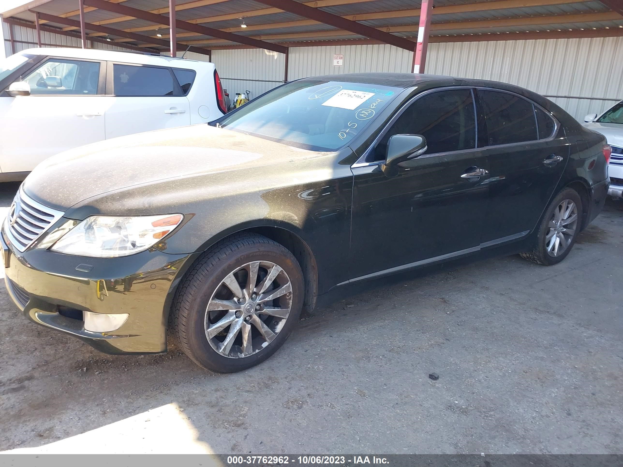 Photo 1 VIN: JTHBL5EF9B5103769 - LEXUS LS 