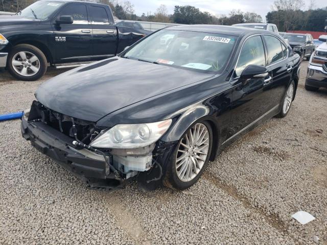 Photo 1 VIN: JTHBL5EF9B5105585 - LEXUS LS460 