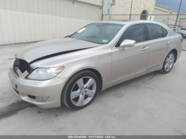 Photo 1 VIN: JTHBL5EF9C5112697 - LEXUS LS 460 