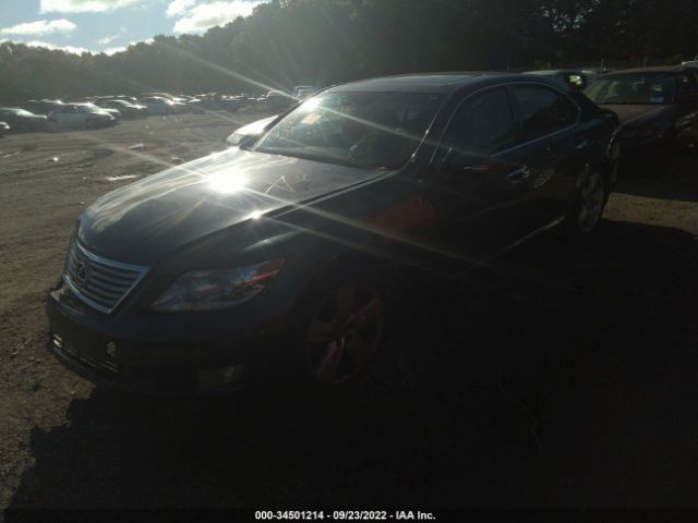 Photo 1 VIN: JTHBL5EFXA5099584 - LEXUS LS 460 