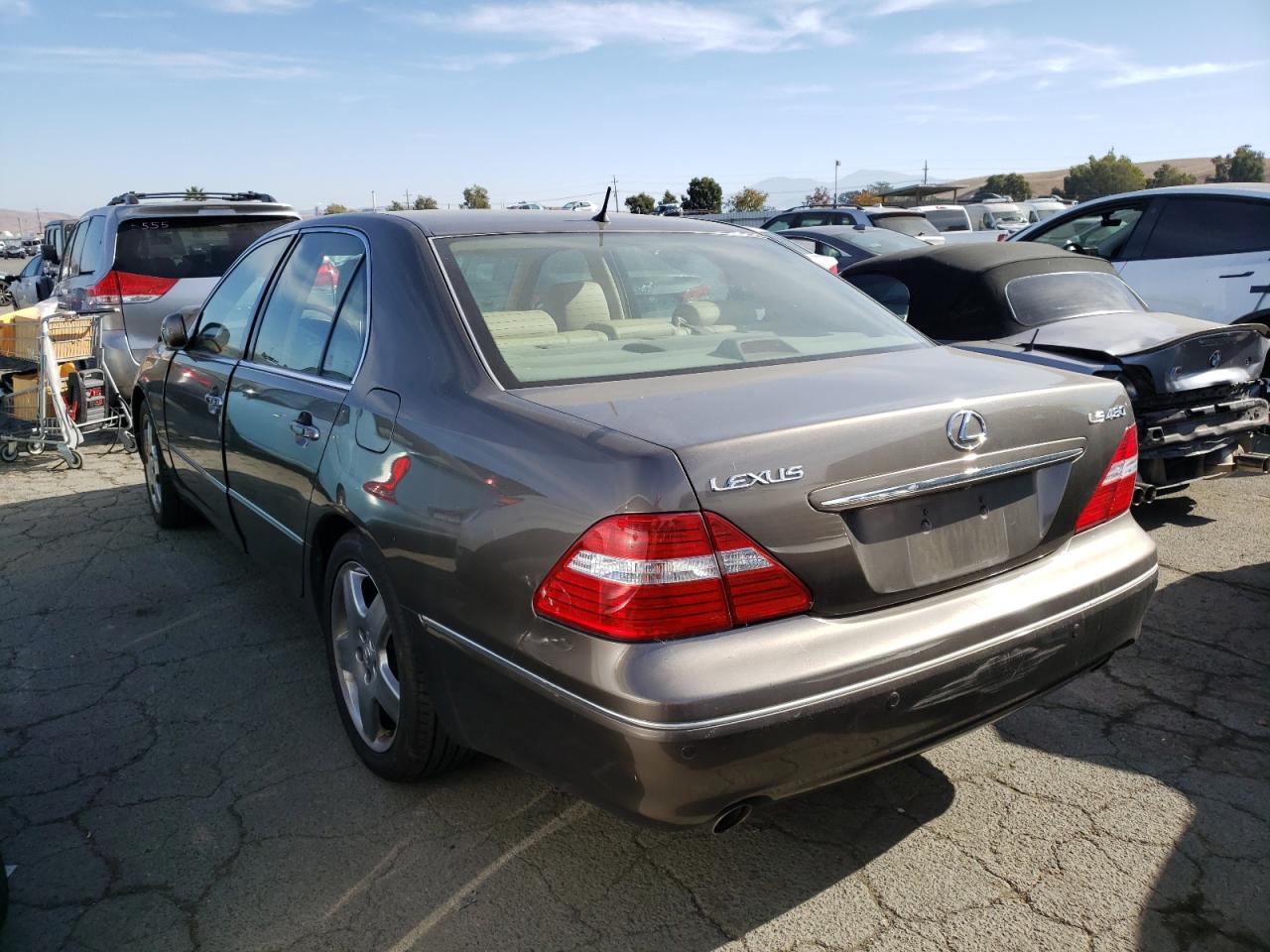 Photo 1 VIN: JTHBN36F565037854 - LEXUS LS 