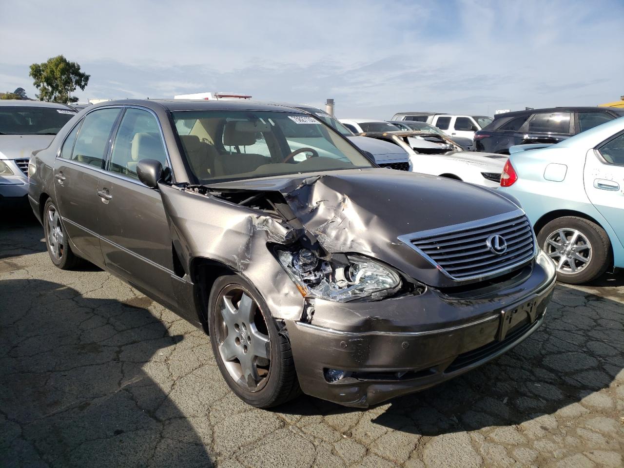 Photo 3 VIN: JTHBN36F565037854 - LEXUS LS 