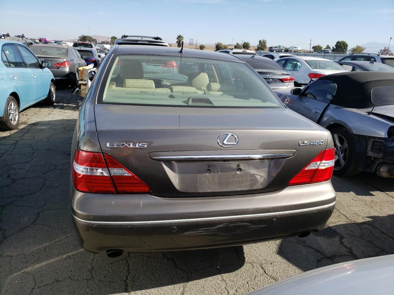 Photo 5 VIN: JTHBN36F565037854 - LEXUS LS 