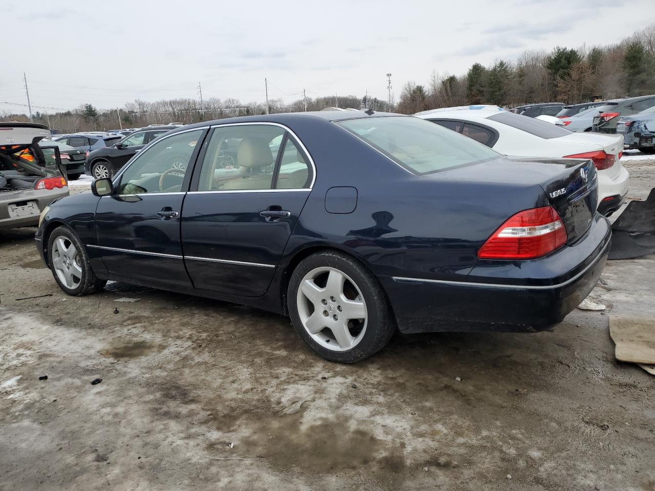 Photo 1 VIN: JTHBN36F565051673 - LEXUS LS 