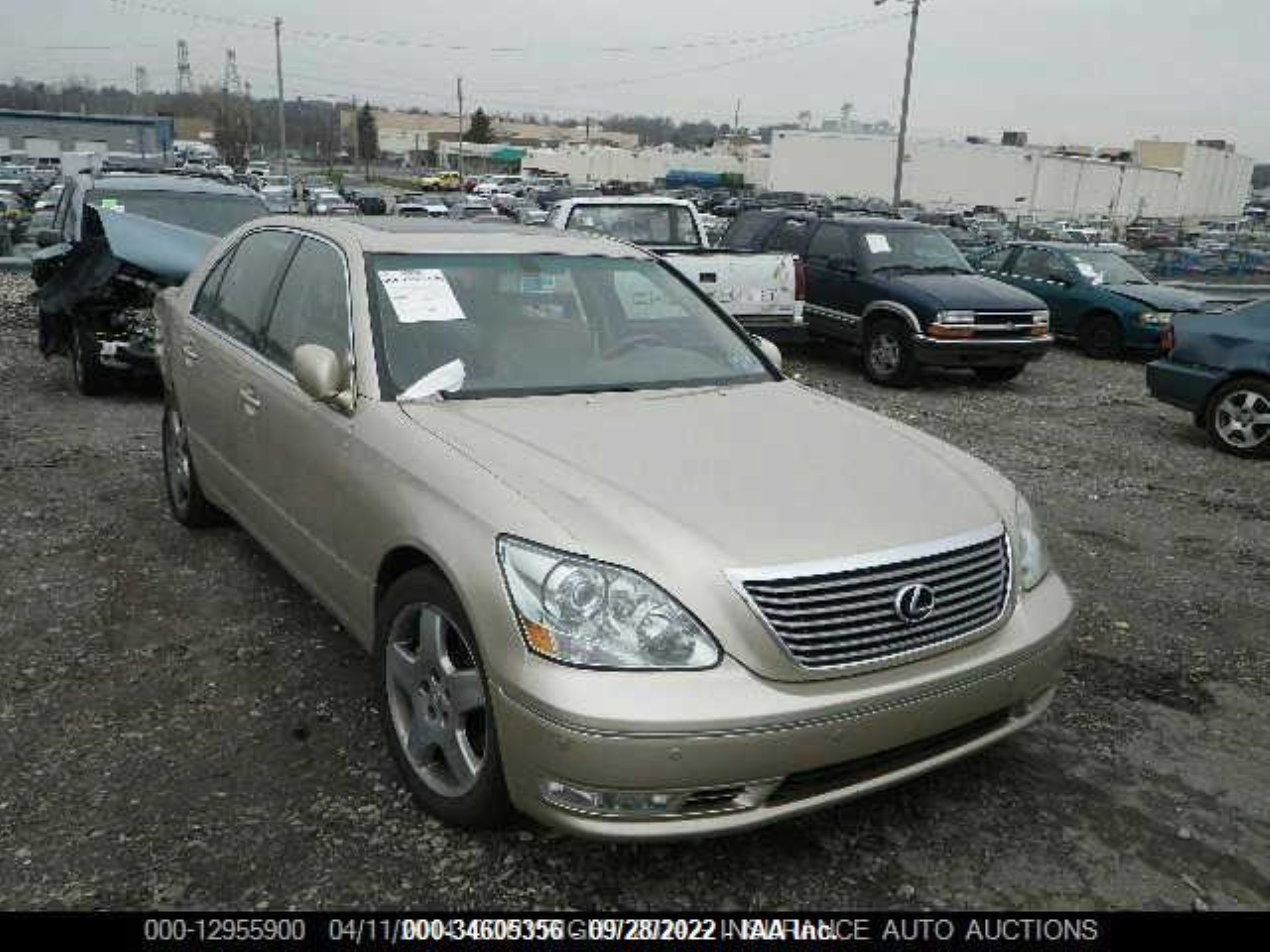 Photo 0 VIN: JTHBN36F665039287 - LEXUS LS 