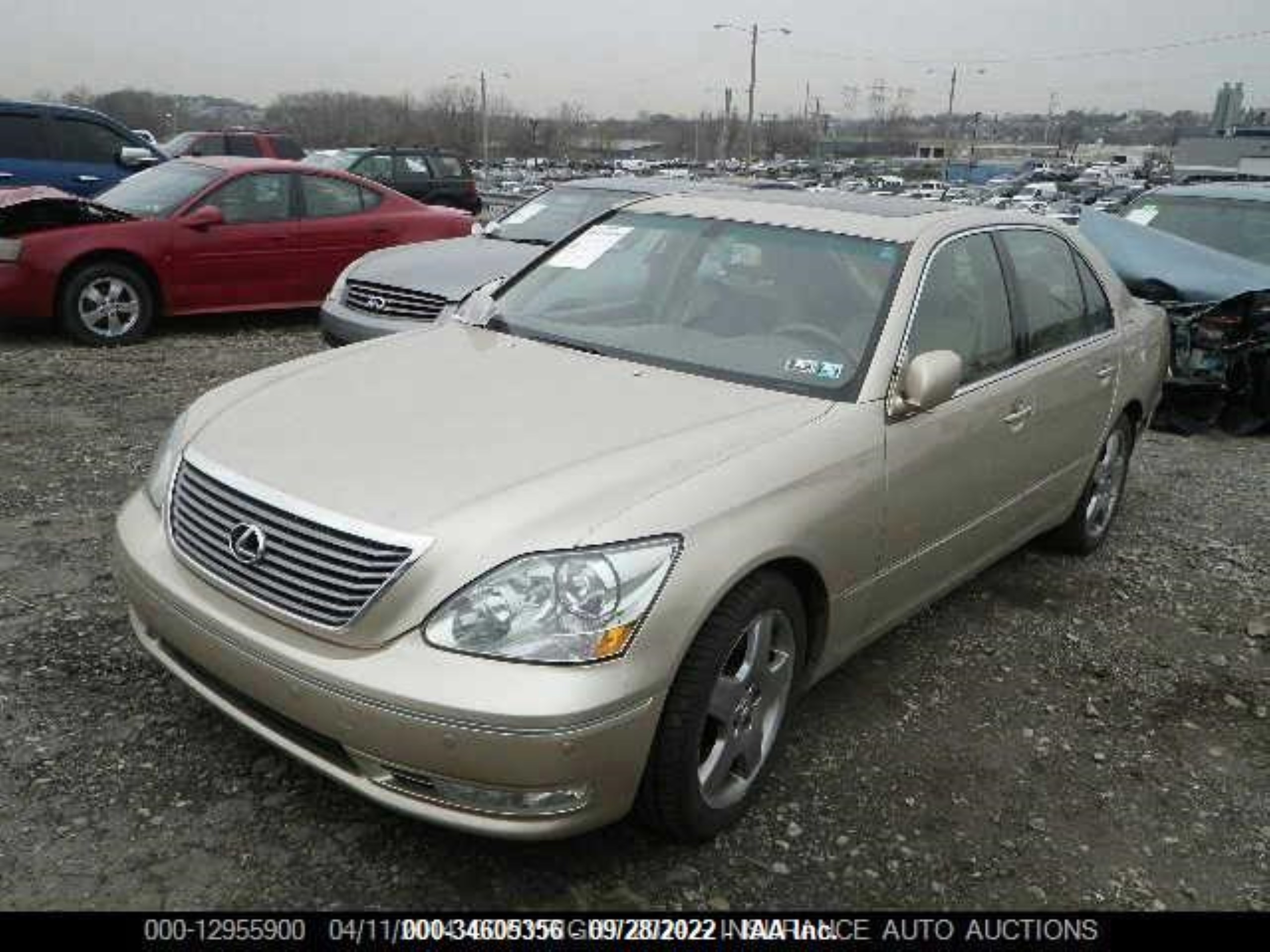 Photo 1 VIN: JTHBN36F665039287 - LEXUS LS 