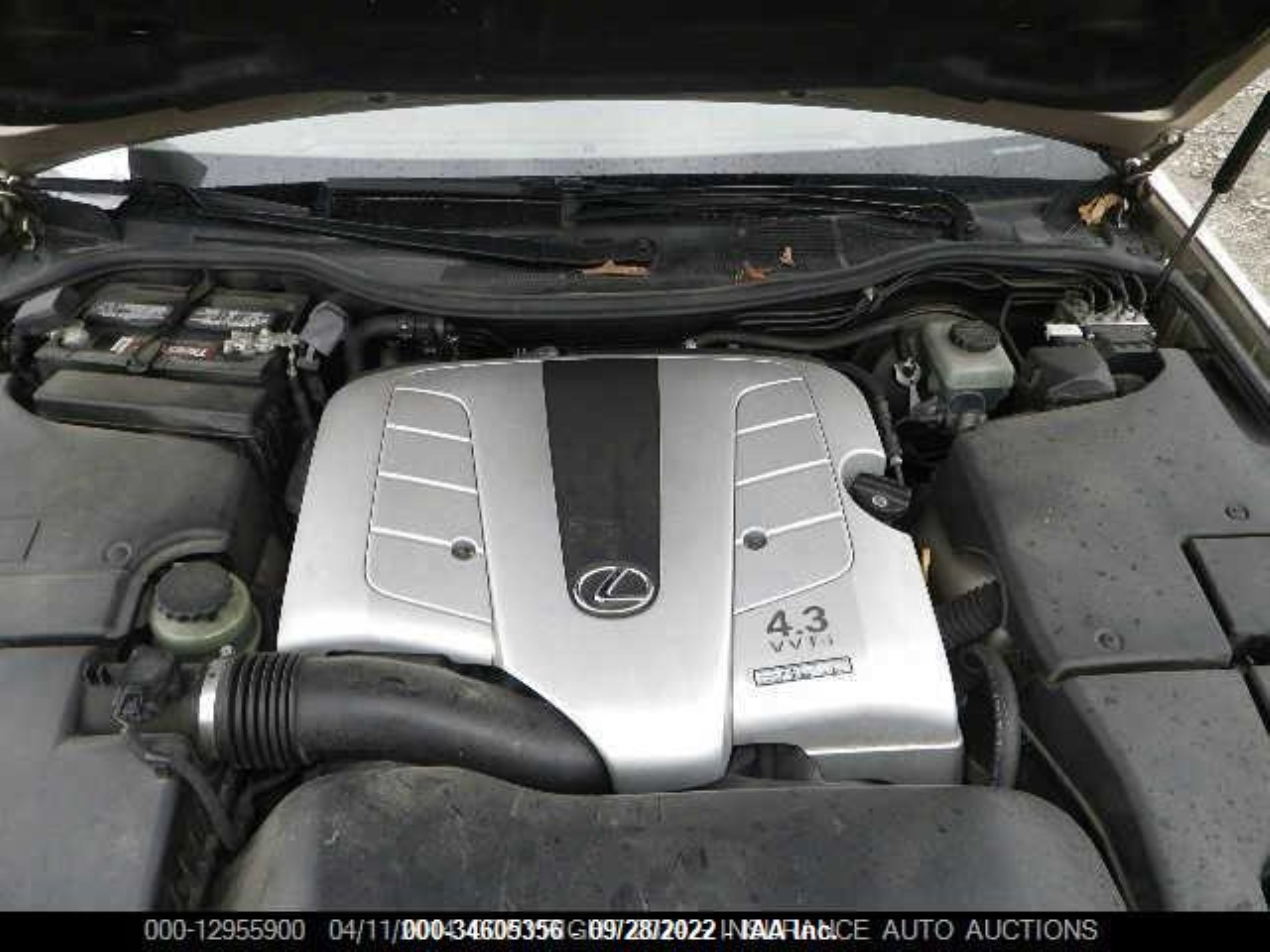 Photo 9 VIN: JTHBN36F665039287 - LEXUS LS 