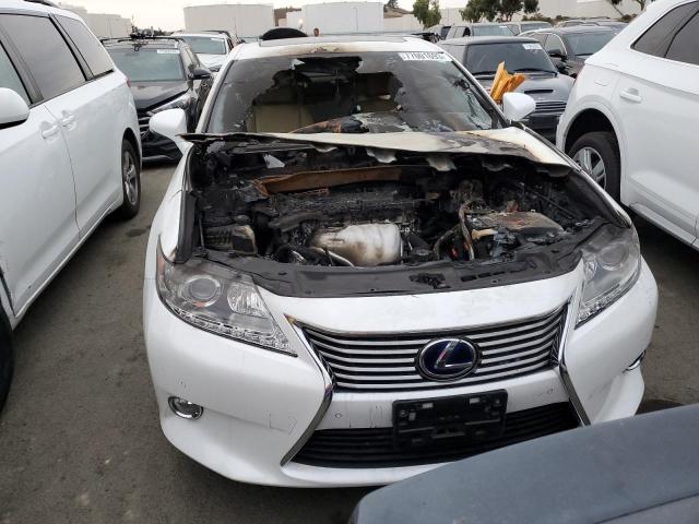 Photo 4 VIN: JTHBW1GG1D2019827 - LEXUS ES300 