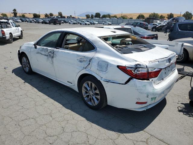 Photo 1 VIN: JTHBW1GG1E2040632 - LEXUS ES300 