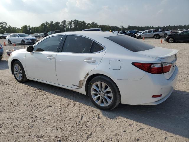 Photo 1 VIN: JTHBW1GG2E2073400 - LEXUS ES 300H 