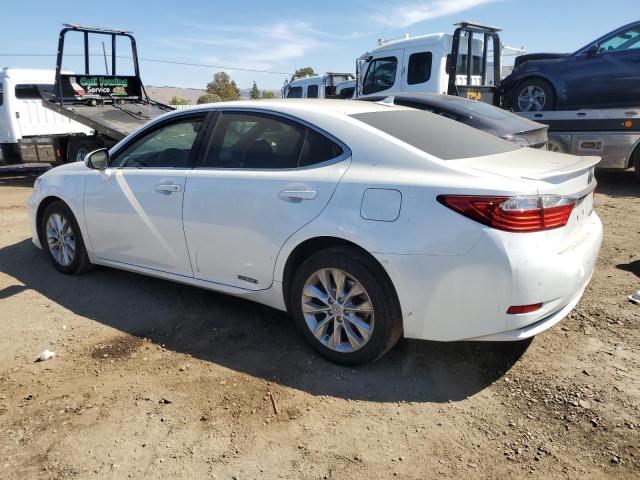 Photo 1 VIN: JTHBW1GG3D2036659 - LEXUS ES 300H 