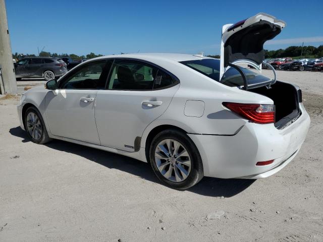 Photo 1 VIN: JTHBW1GG3E2053060 - LEXUS ES300 